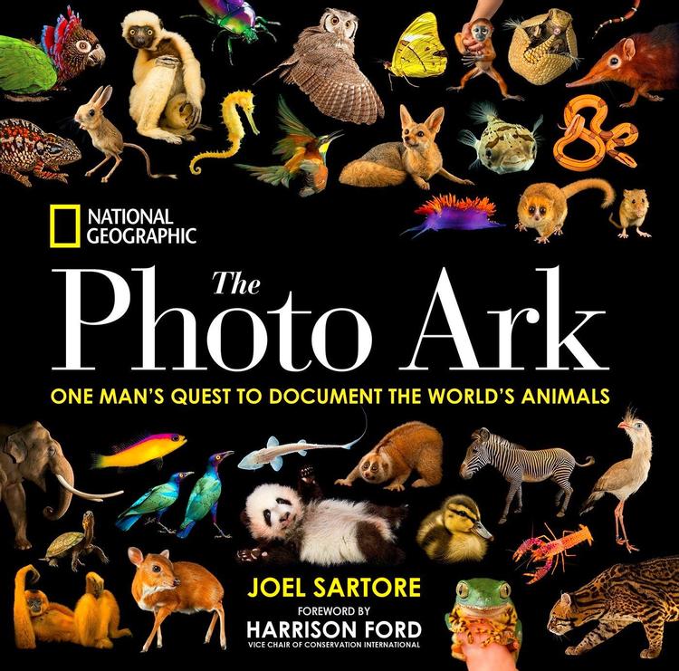 Art Encyclopedias