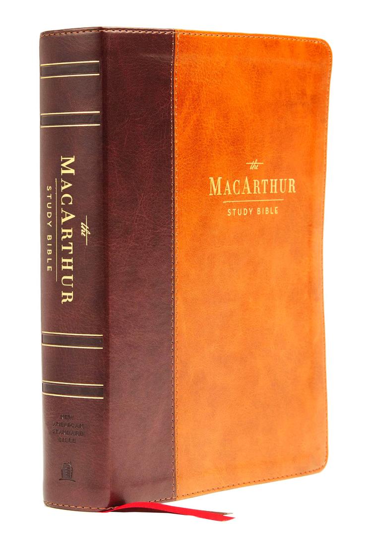 Christian Bibles (Books)