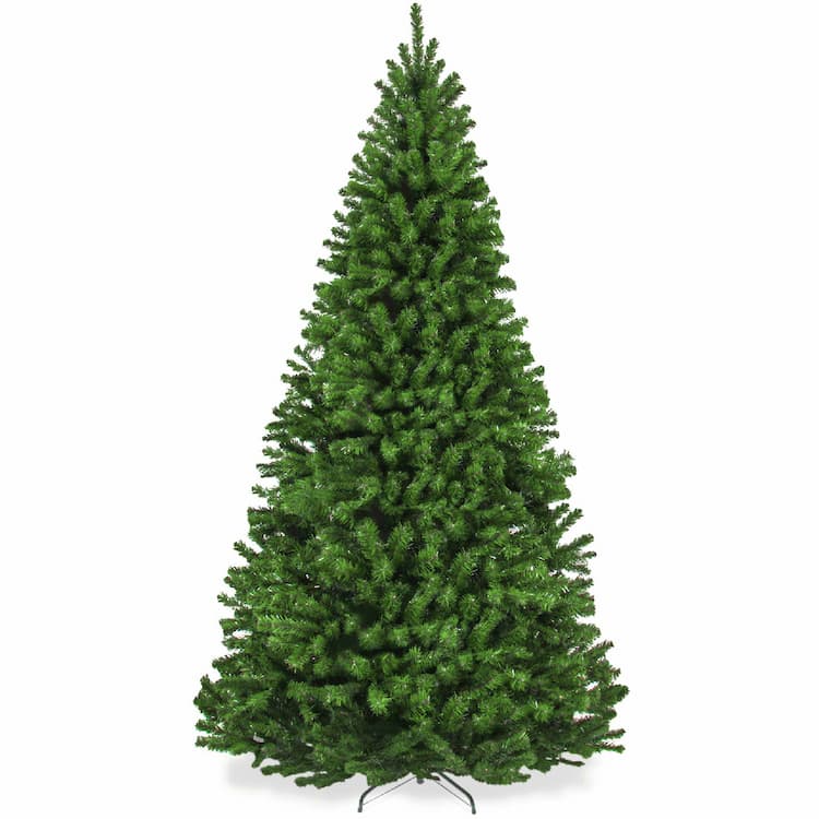 Christmas Trees