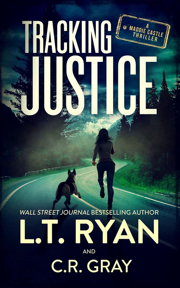 Vigilante Justice Thrillers