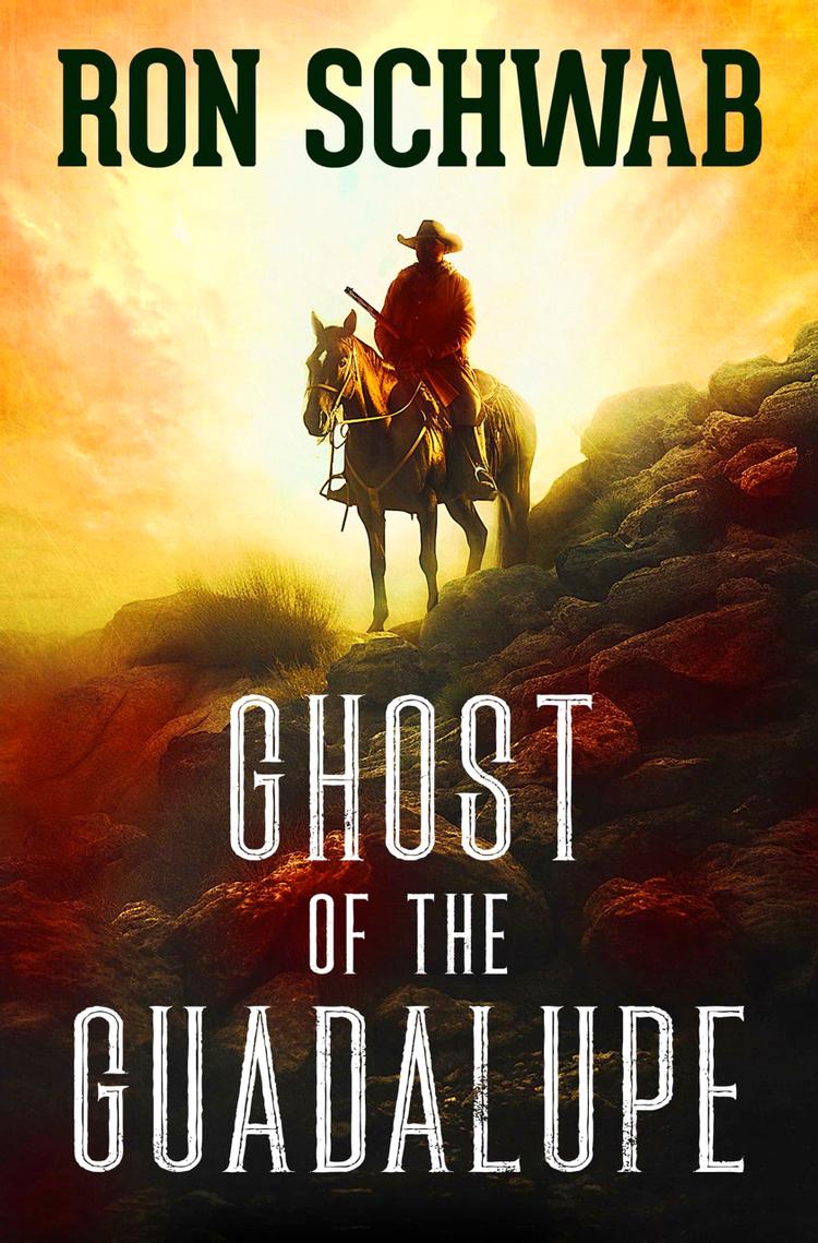 Westerns (Books)