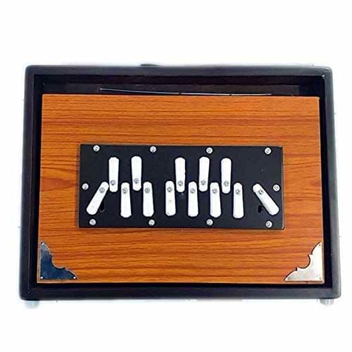 Shruti Boxes