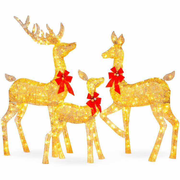 Outdoor Lighted Holiday Displays
