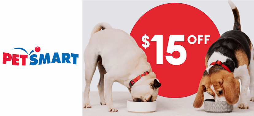 Can Outdoor Gear Keep Up with Adventurous Pets?