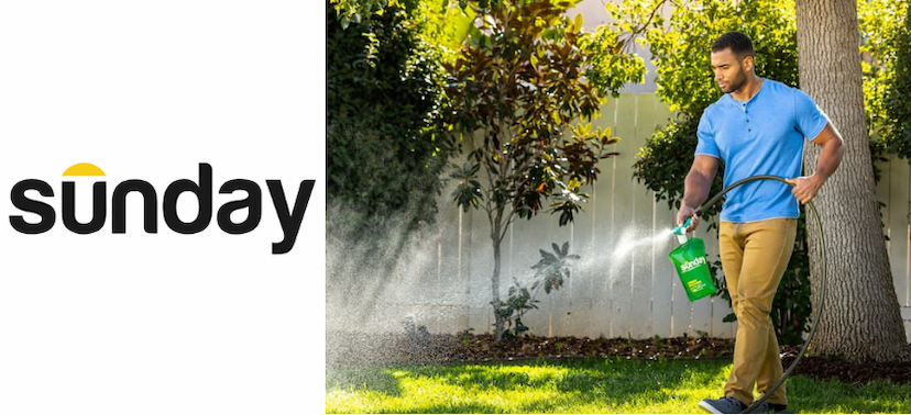 Why Sunday Lawn Care Works